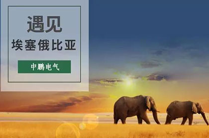 满堂红资料库