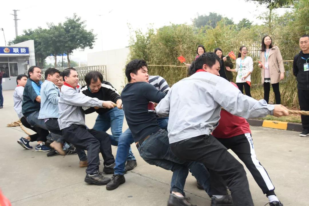 满堂红资料库
