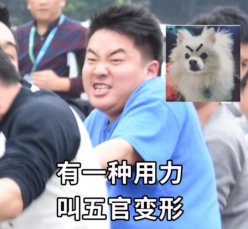满堂红资料库