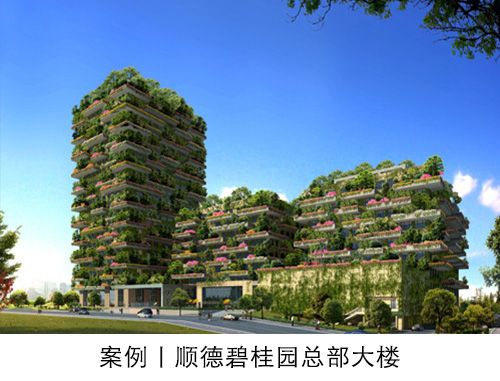 满堂红资料库