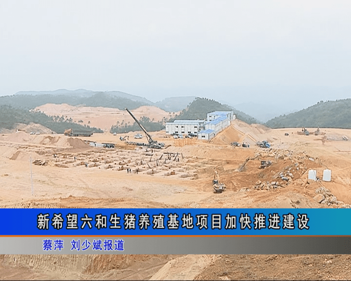 满堂红资料库