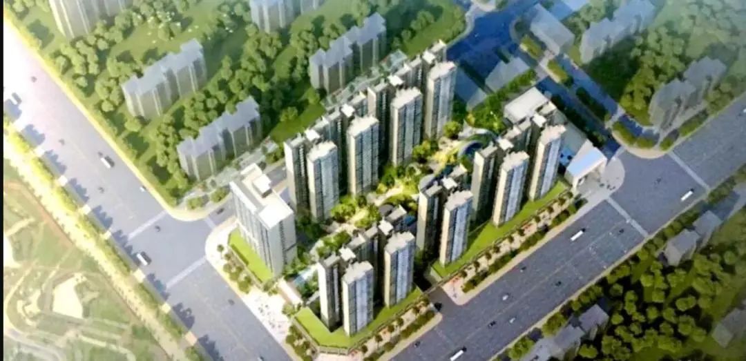满堂红资料库